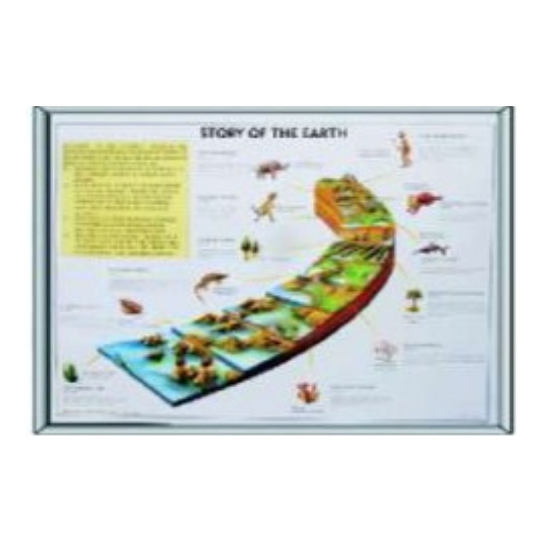 Story of Earth Wall Chart, Laminated Educational Science & History Poster for Kids, Classroom Learning Graphic Print