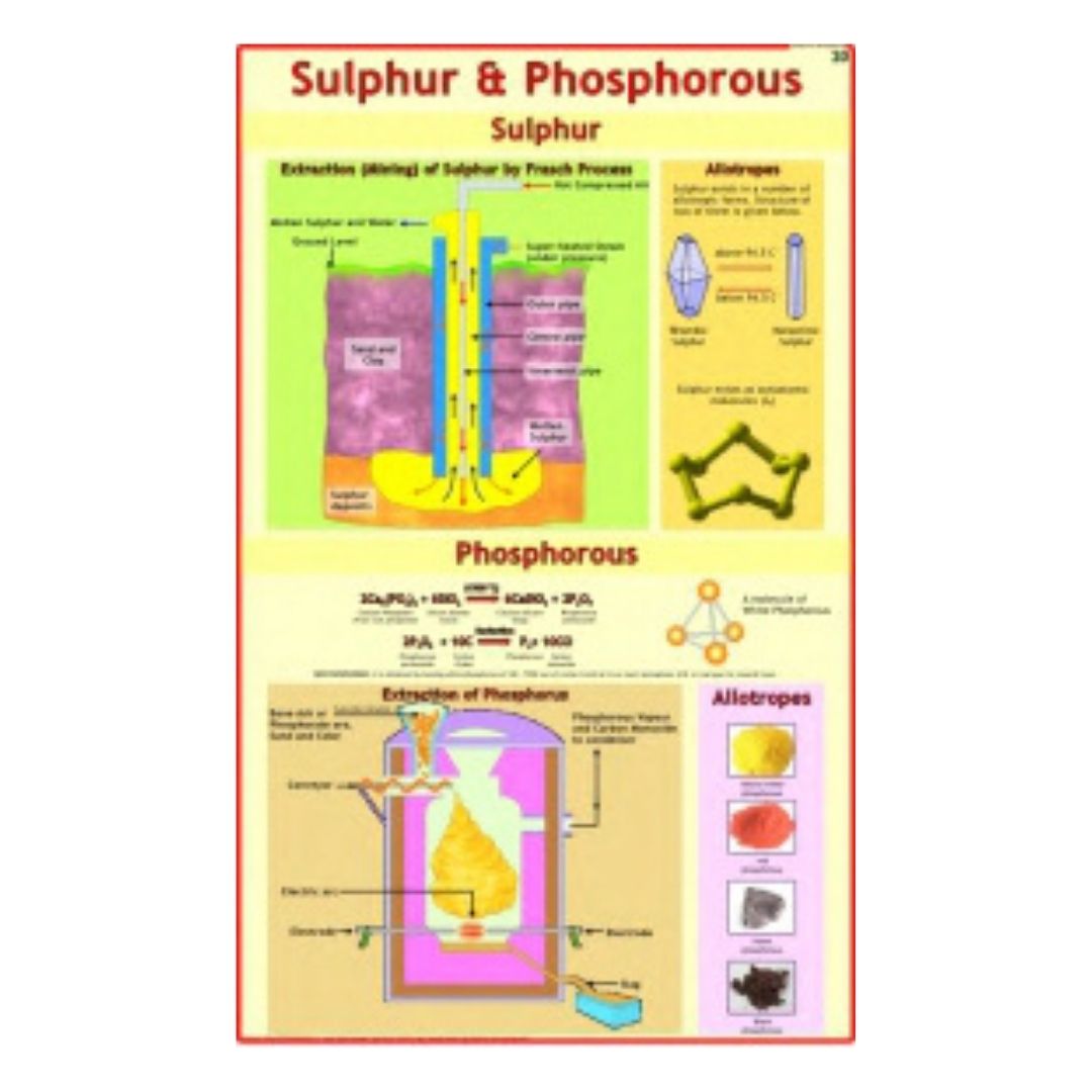 Sulphur & Phosphorus Educational Chart – Laminated Paper (70 x 100 cm)