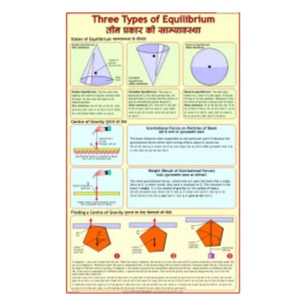Three Types of Equilibrium - Science Educational Chart – Laminated Paper