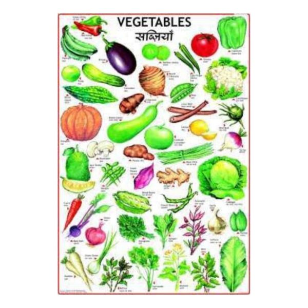 Vegetable Educational Poster for Toddlers & Kids – Early Learning Chart for Preschool, Kindergarten & Homeschool – Gloss Finish Durable Cardstock
