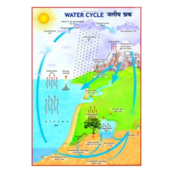 Water Cycle - Science Educational Chart – Laminated Paper