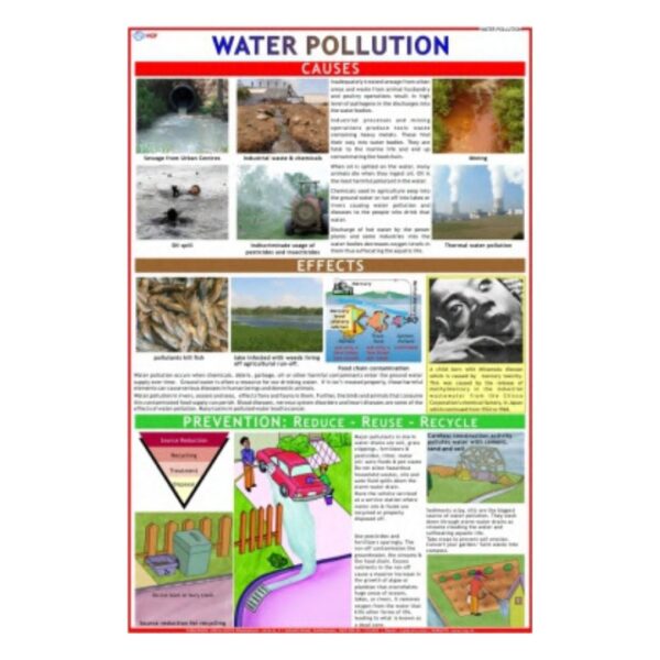Water Pollution - Science Educational Chart – Laminated Paper