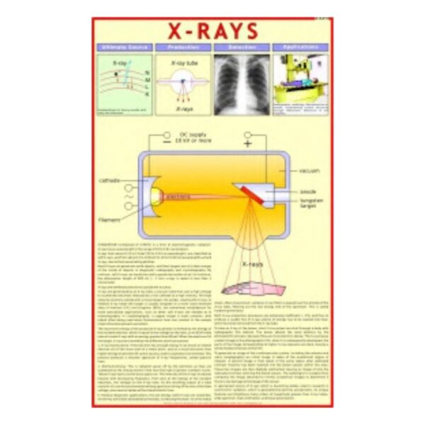 X-Rays - Science Educational Chart – Laminated Paper