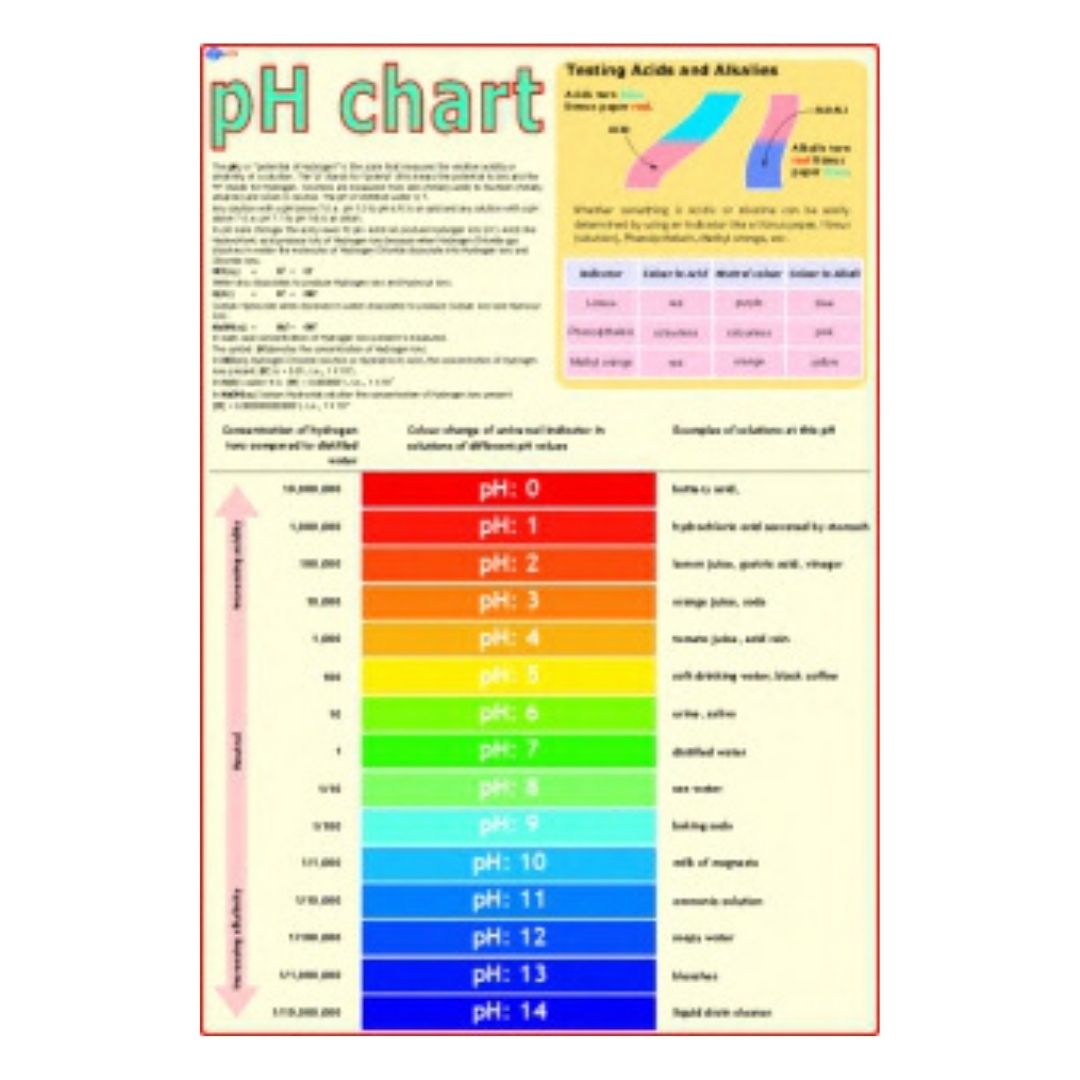 pH Chart Educational Chart – Laminated Paper (70 x 100 cm)